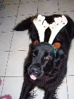40_0_55